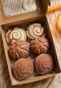 Artisanal Concha Box – 6 pc